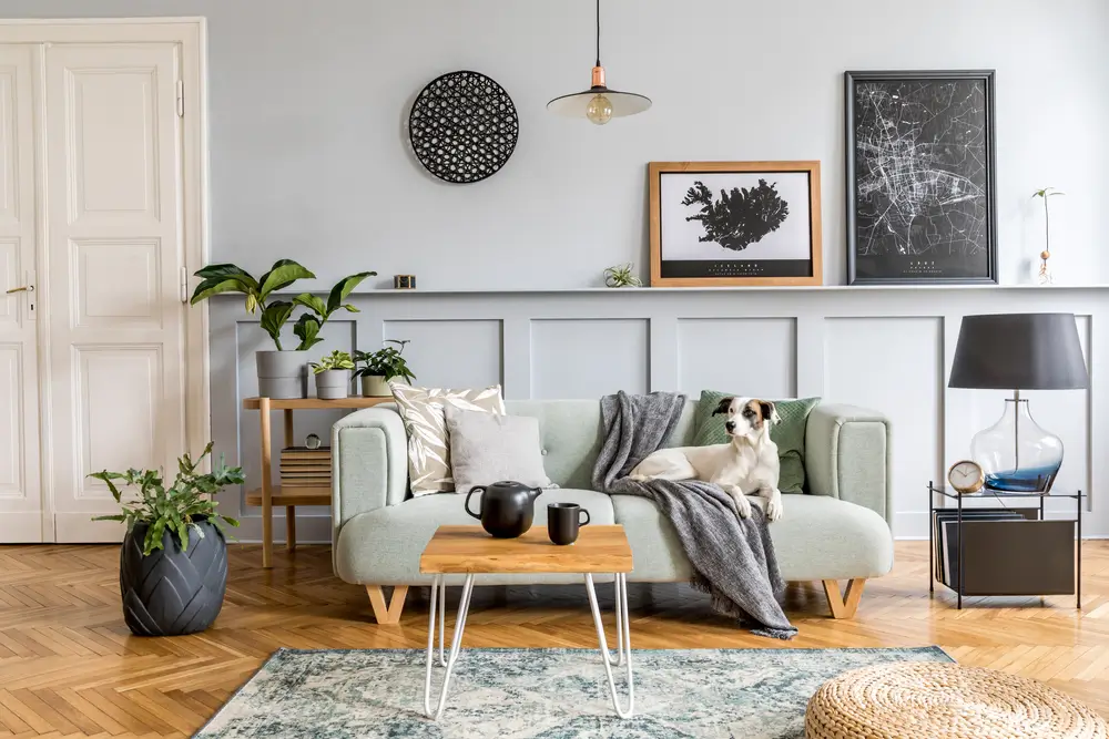 Design intérieur élégant du salon avec canapé-lit à la menthe moderne, console en bois, cube, table basse, lampe, plante, cadre maquette à poster, oreillers, plaid, décoration et accessoires élégants dans le décor de maison.